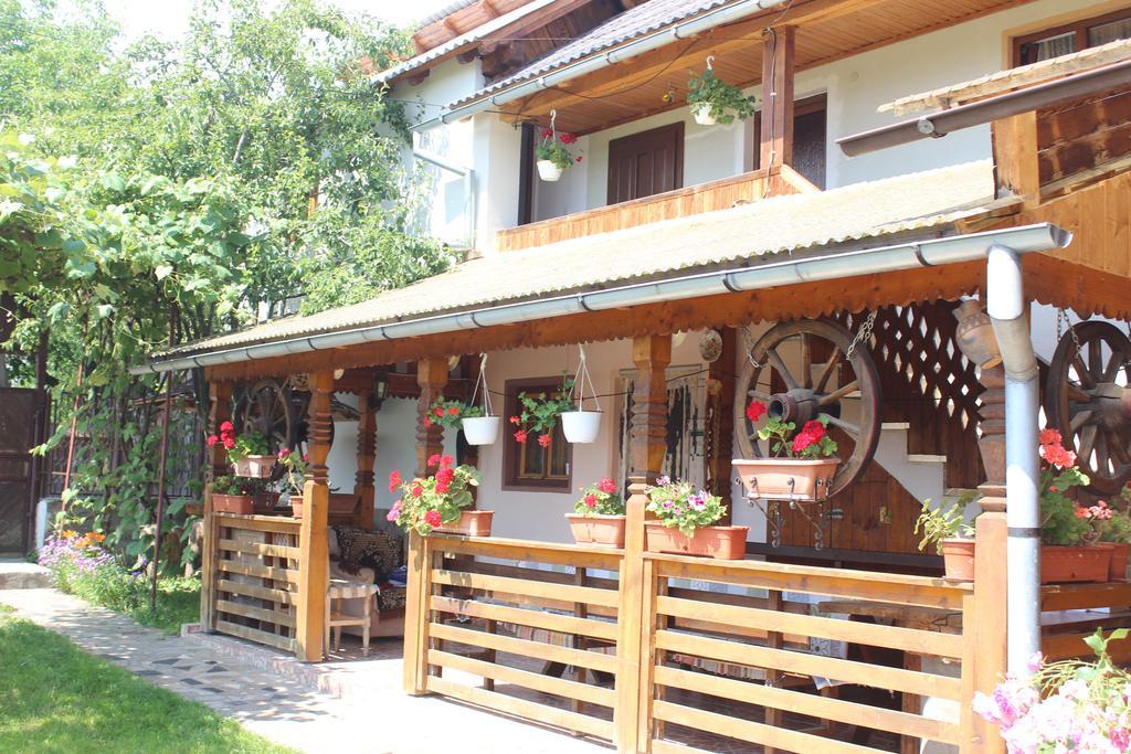 Pensiunea Ilea Ieud 외부 사진