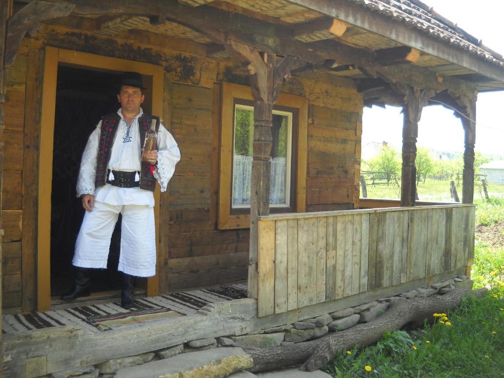 Pensiunea Ilea Ieud 외부 사진